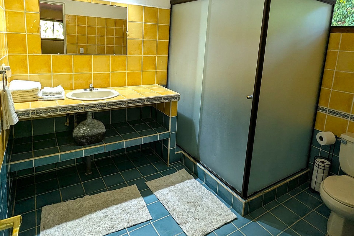 Master bedroom ensuite bathroom