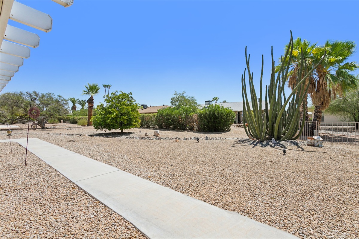 55+ Comfort & Quiet | 2BR Peaceful Home — Comfort & Quiet | 2BR Home in 55+ Neighborhood, Sun City West, Arizona — photo 37