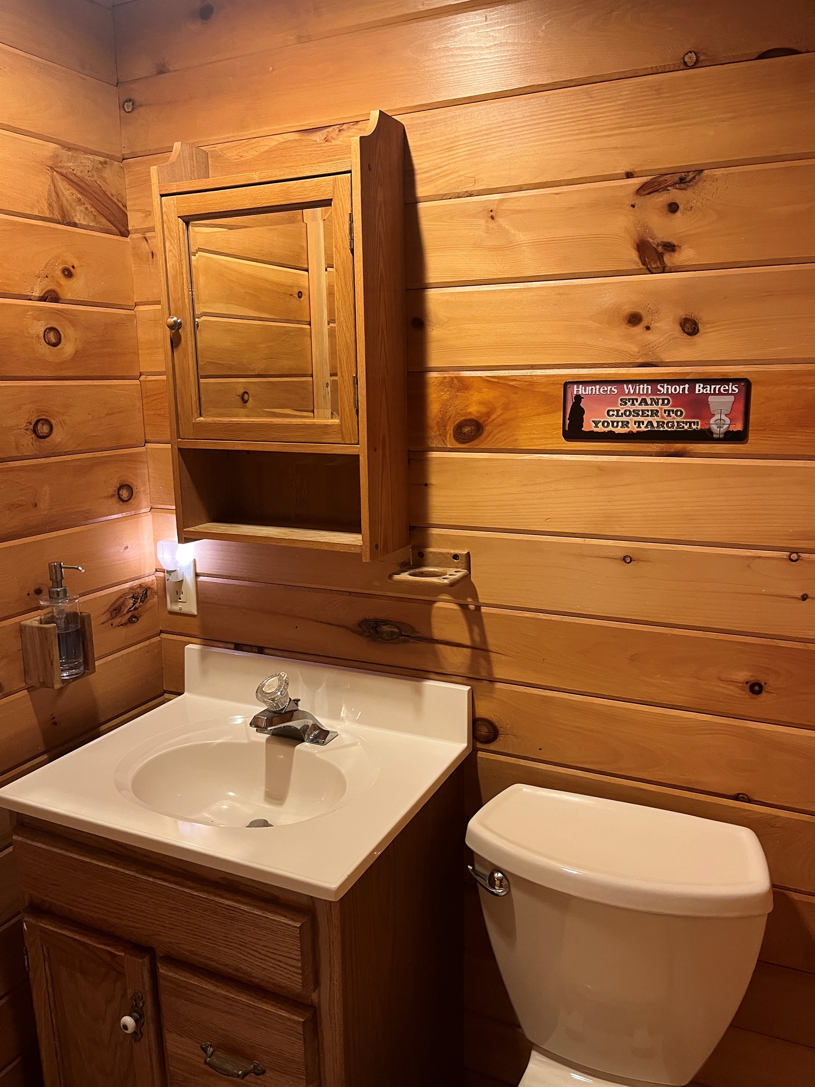 Lower level bathroom with shower
