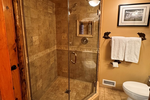 Hall bathroom Walk-in shower