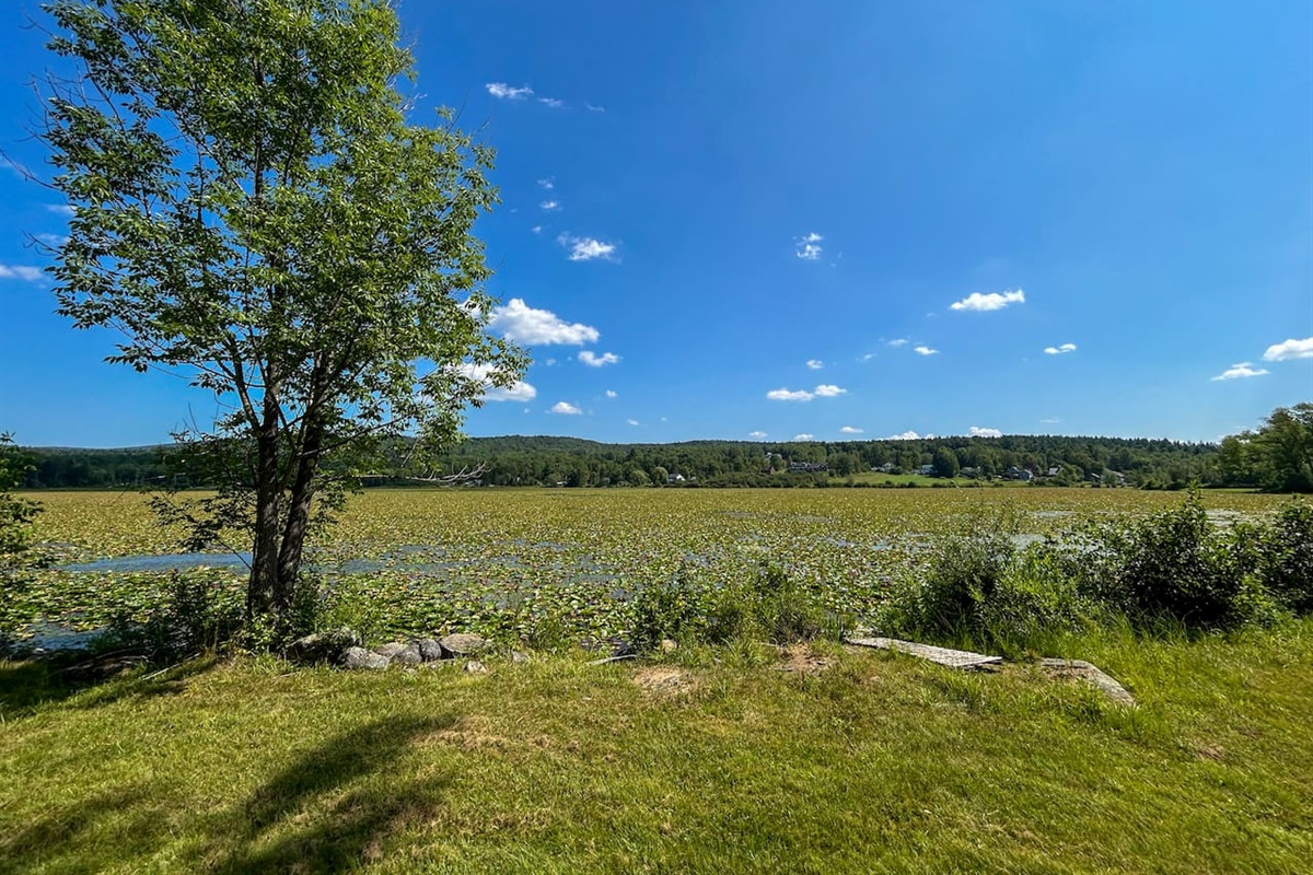 Star Lake is unfortunately covered in lily pads, which prevents swimming or boating, but it still provides a scenic and peaceful view