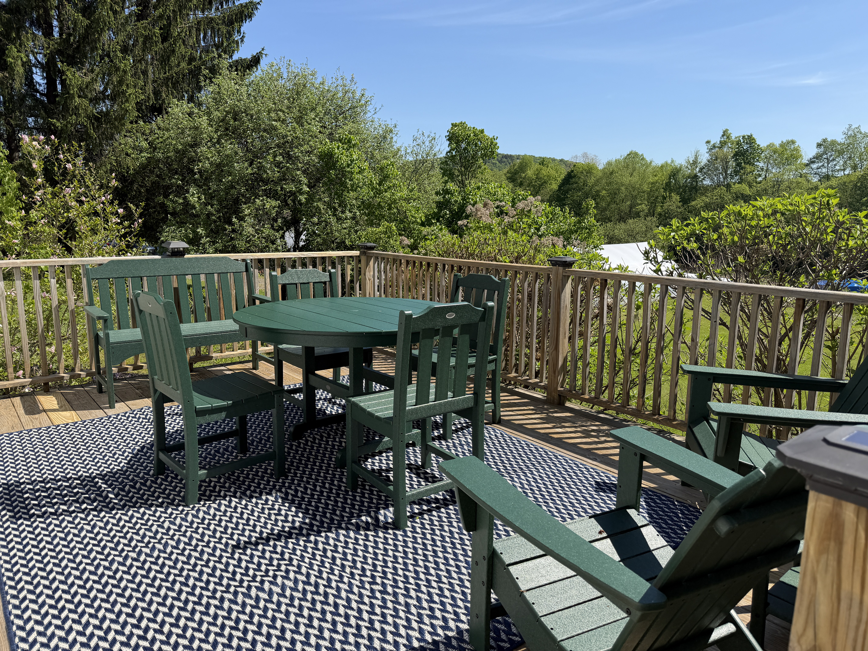 Rear deck overlooking the backyard