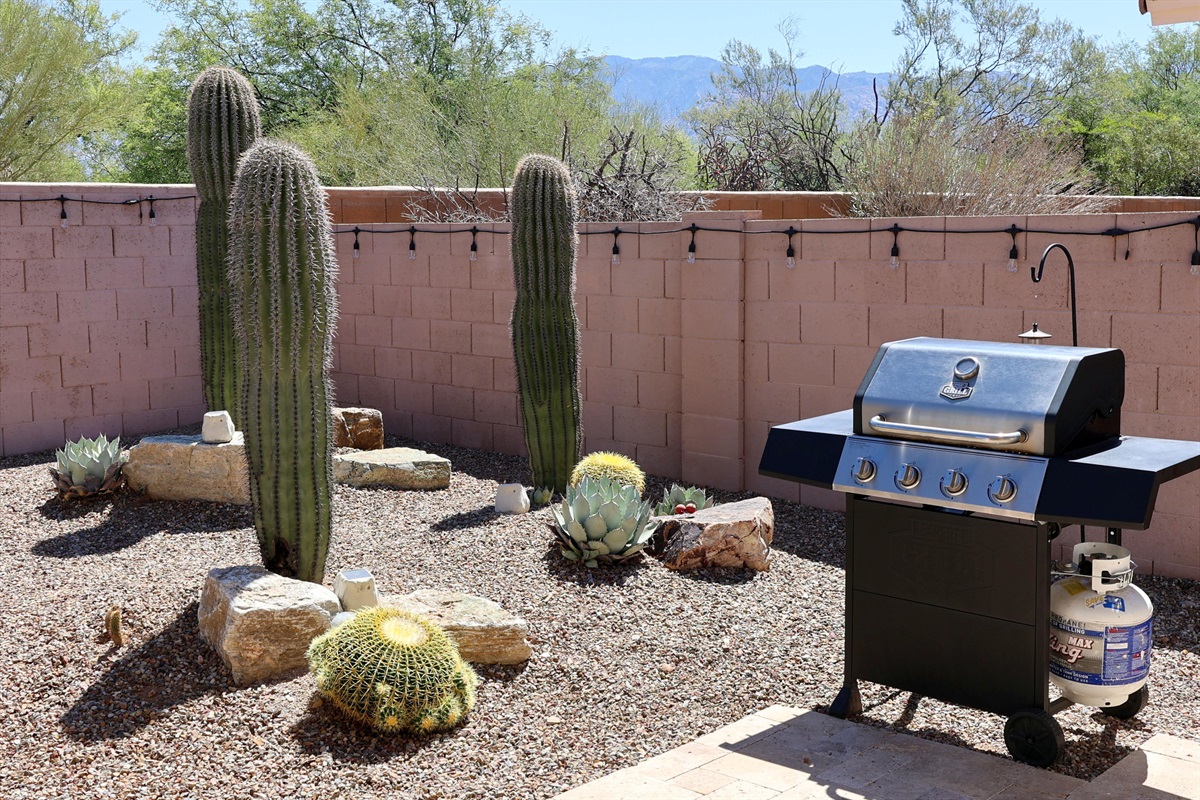Your view while cooking dinner on the propane grill.