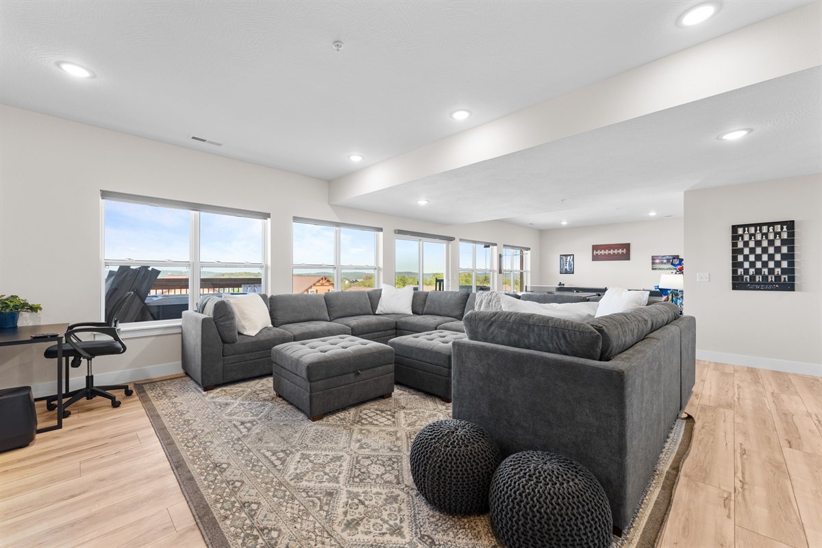 Living Room- Lower Level