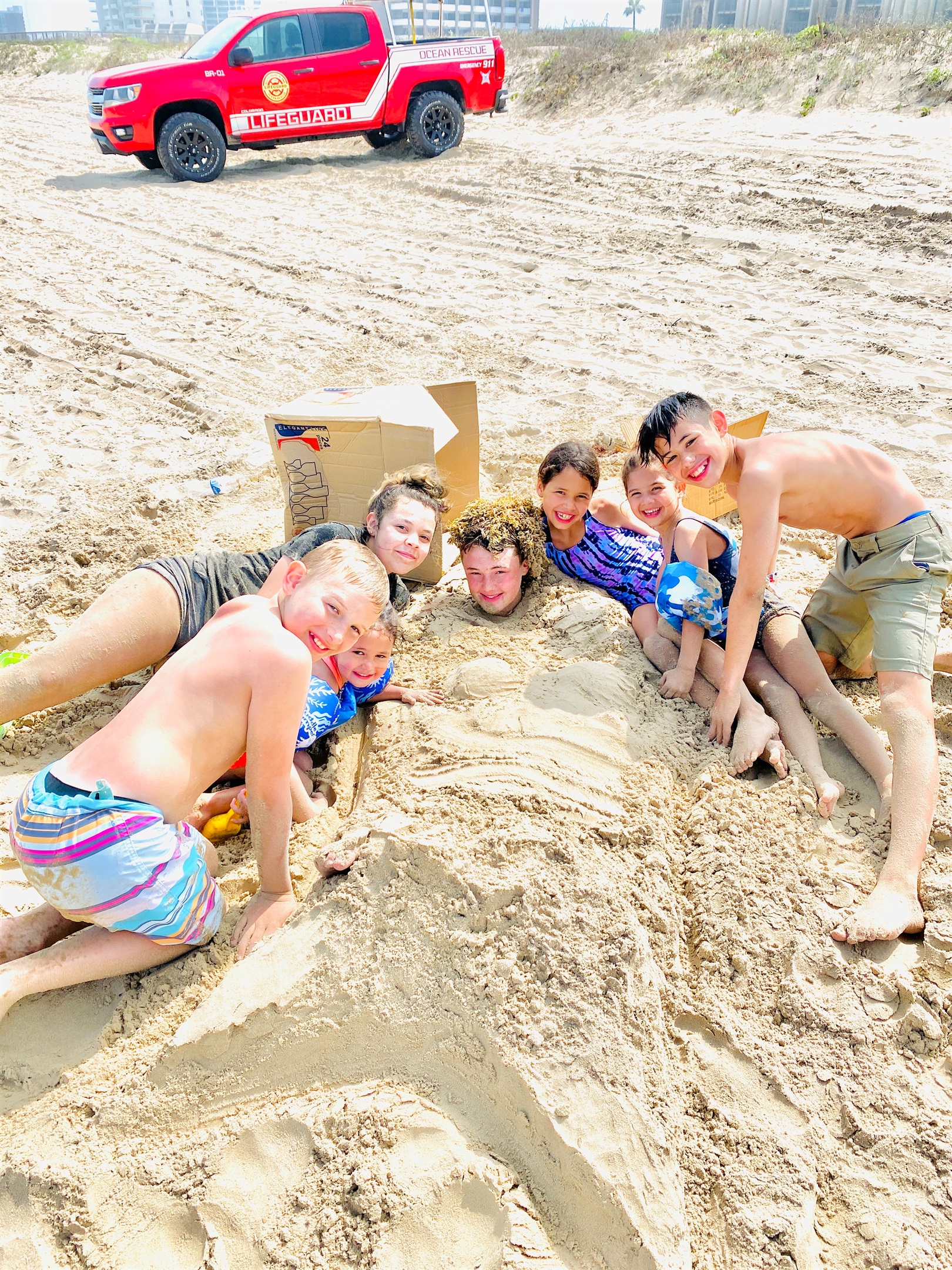 Fun in the sun