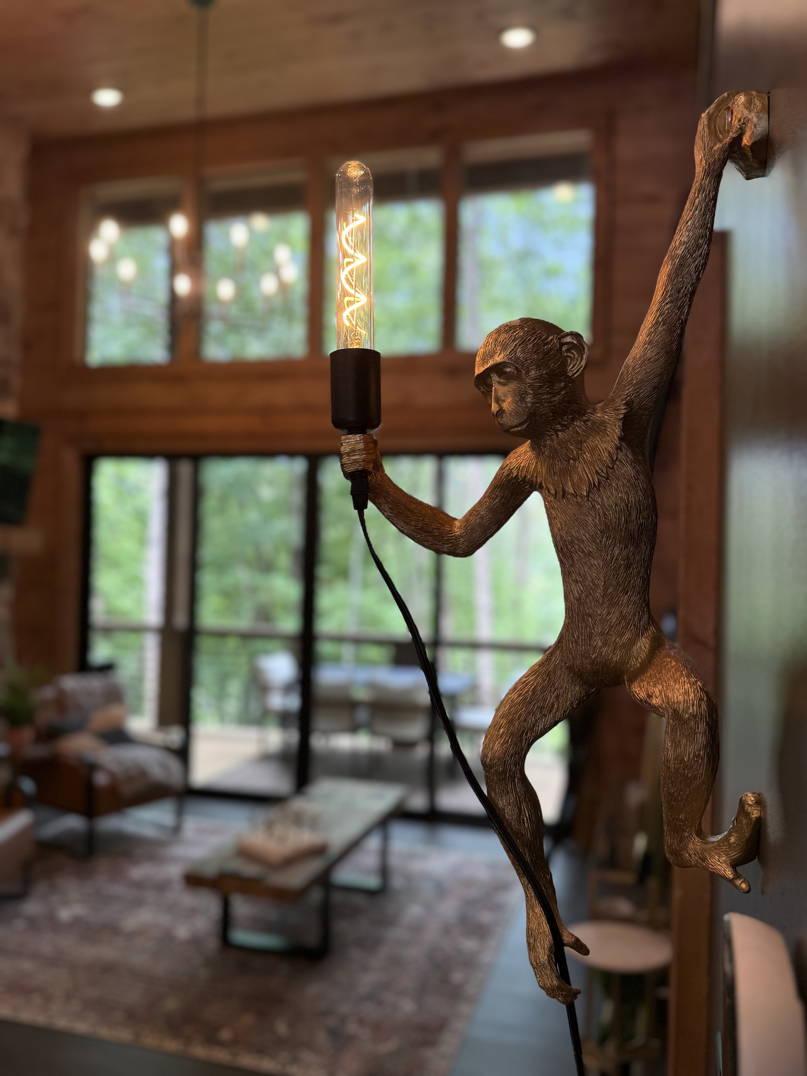 monkey light