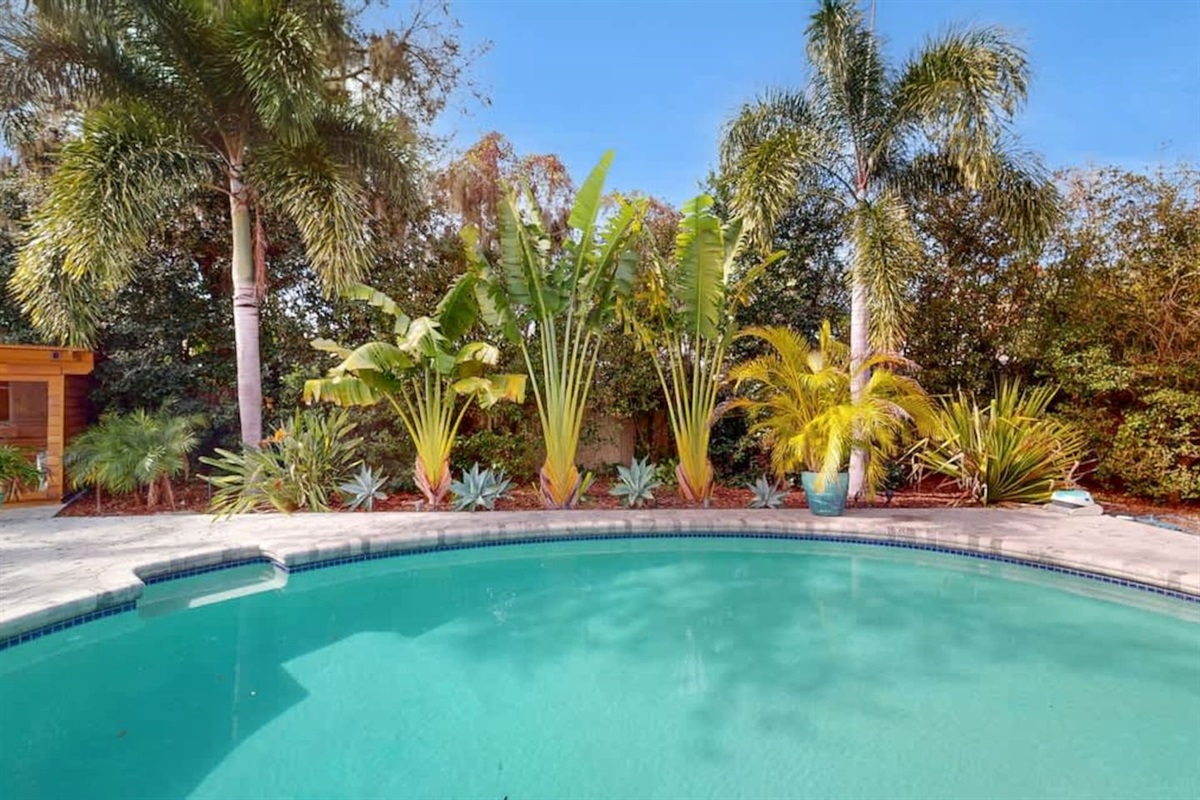 Tropical poolside scene perfect for sunny escapes.