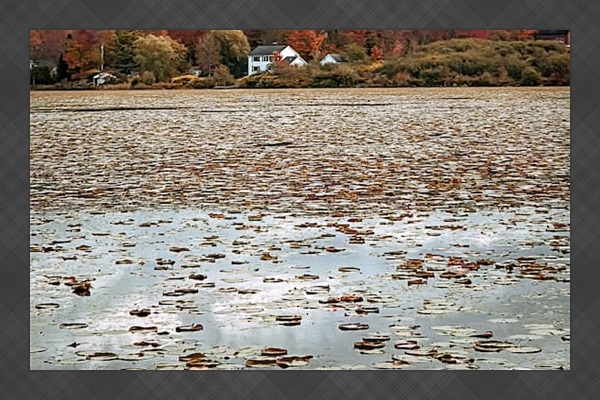 View across Star Lake in autumn 