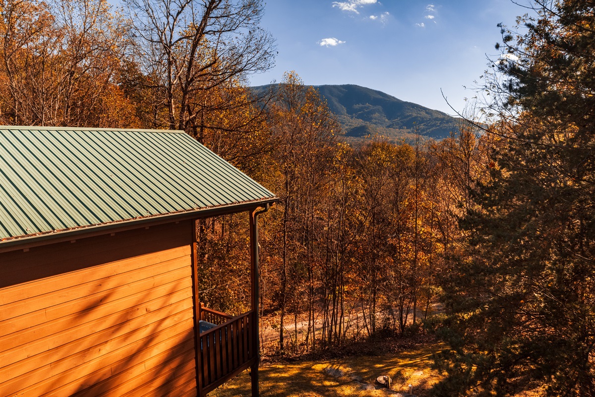 Skinny Dippin is a modern cabin in the NATURE!