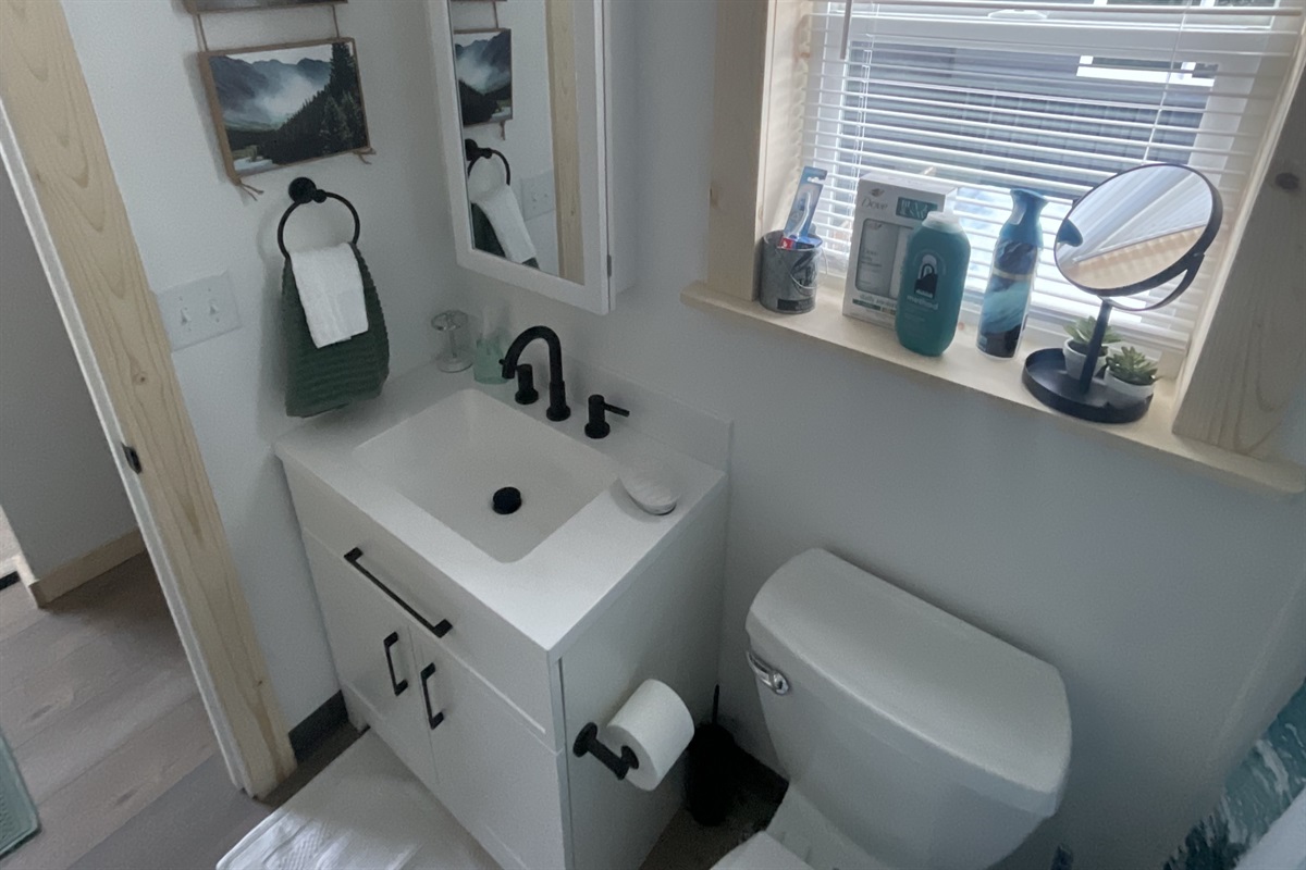Bathroom includes a sink, toilet, and shower/tub combo.