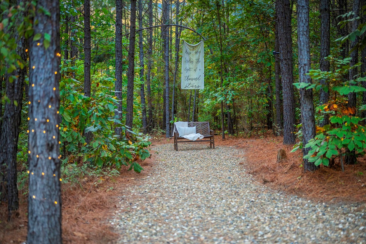 🌲 A secret spot for morning coffee or quiet moments
