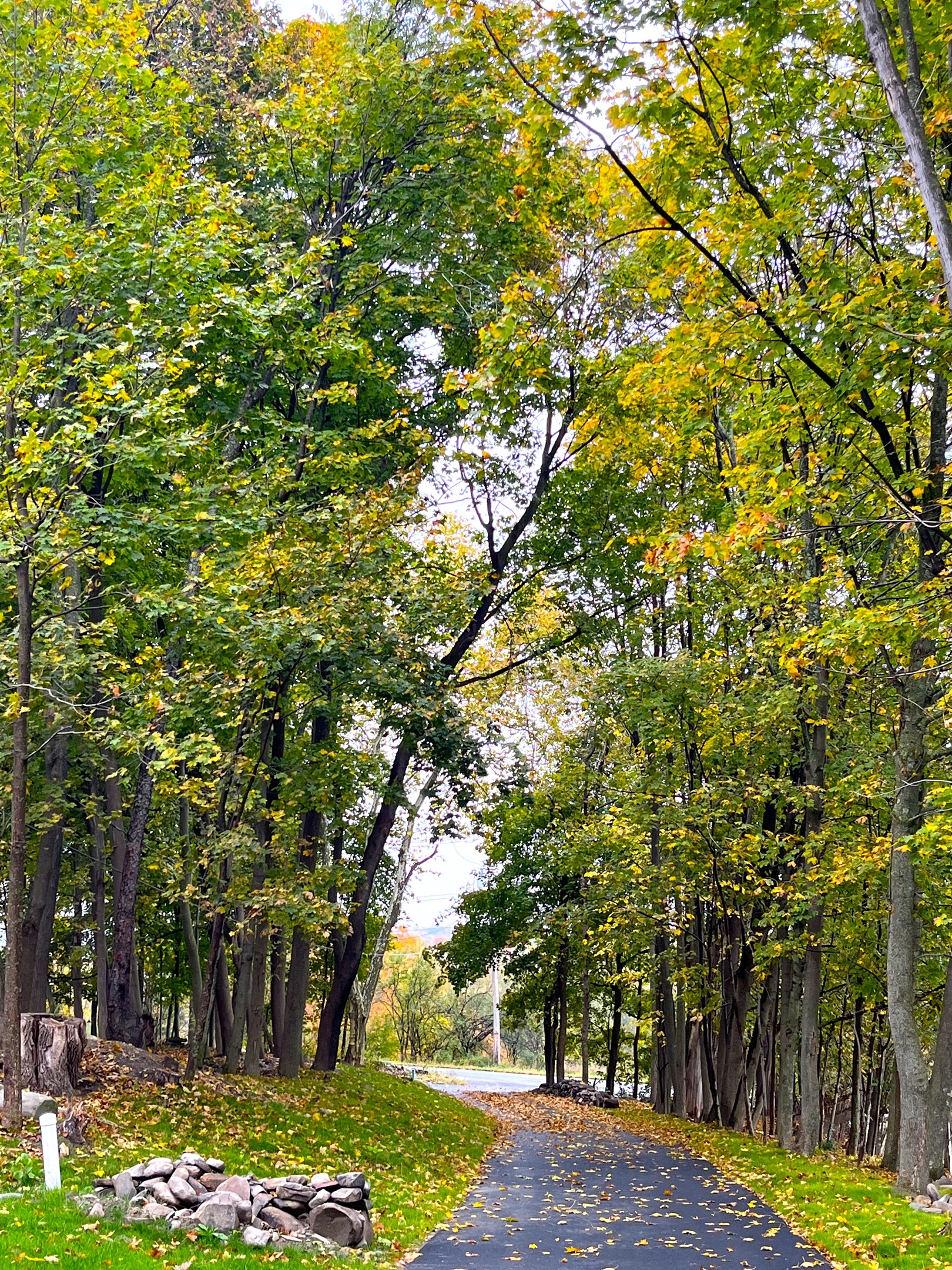 1st Guest House:  Driveway