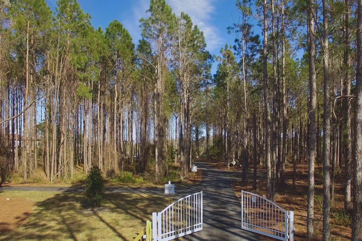 Pine tree grounds at Orlando group vacation property