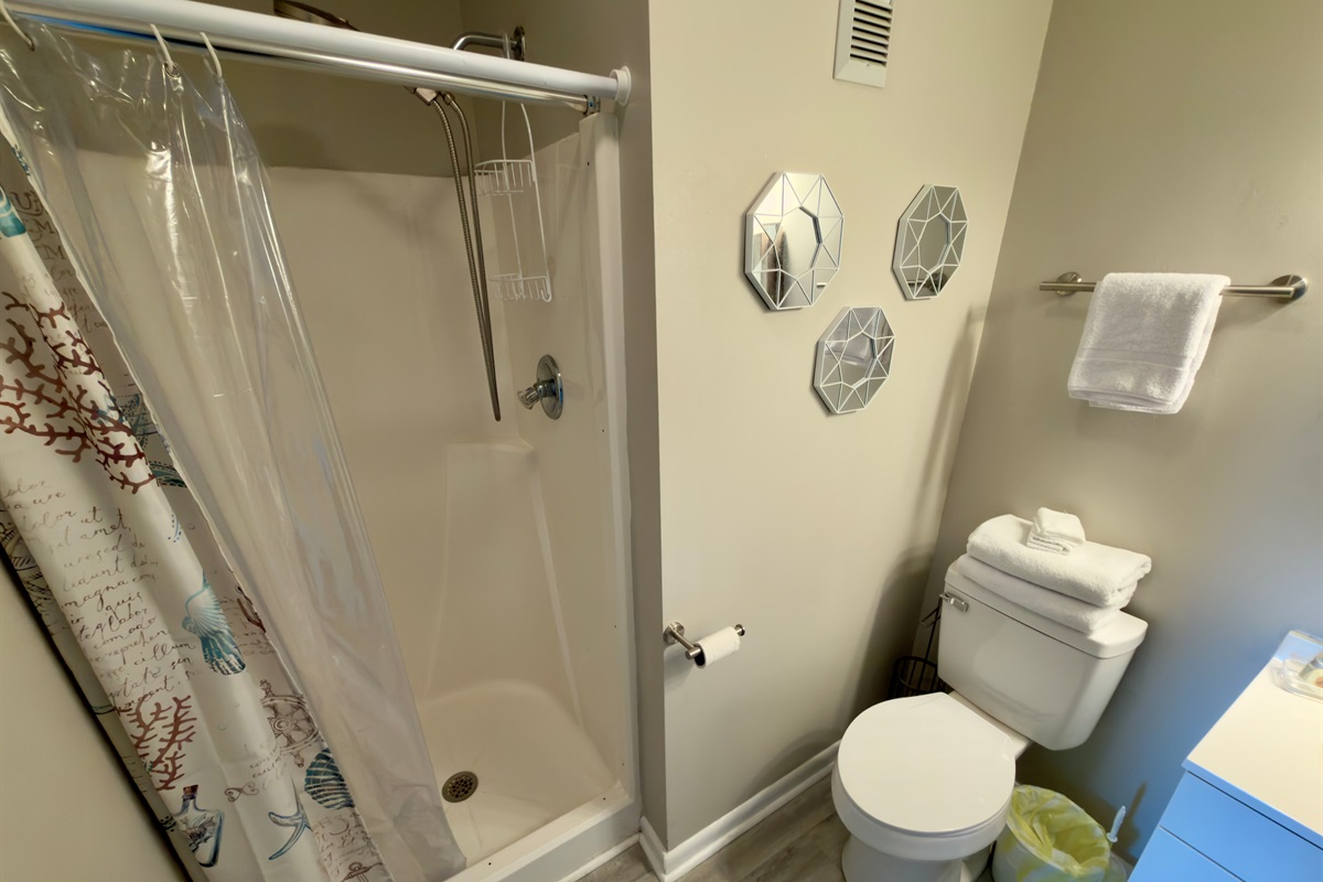 Shower In Main Bathroom