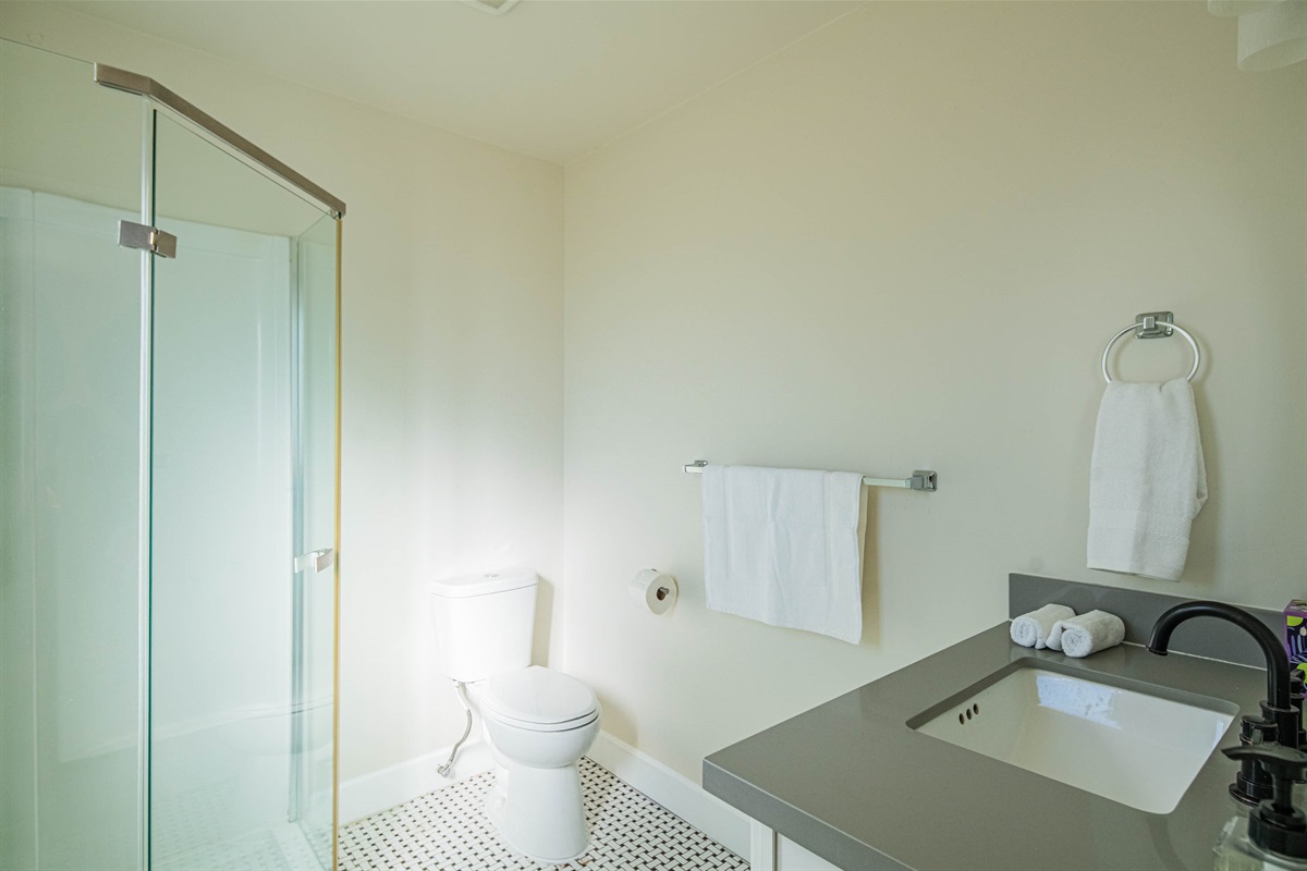 Bright guest ensuite bathroom featuring a walk-in shower, sleek finishes, and fresh towels — convenient and comfortable 