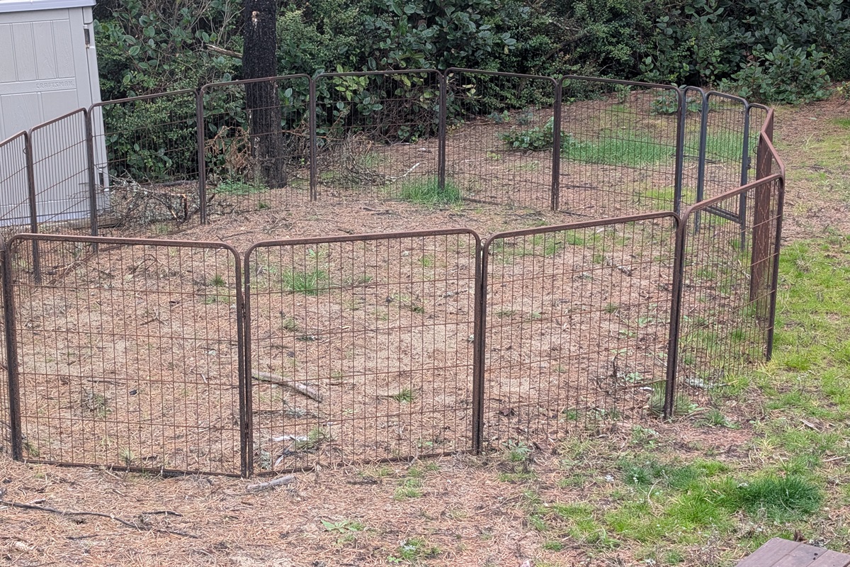 dog enclosure