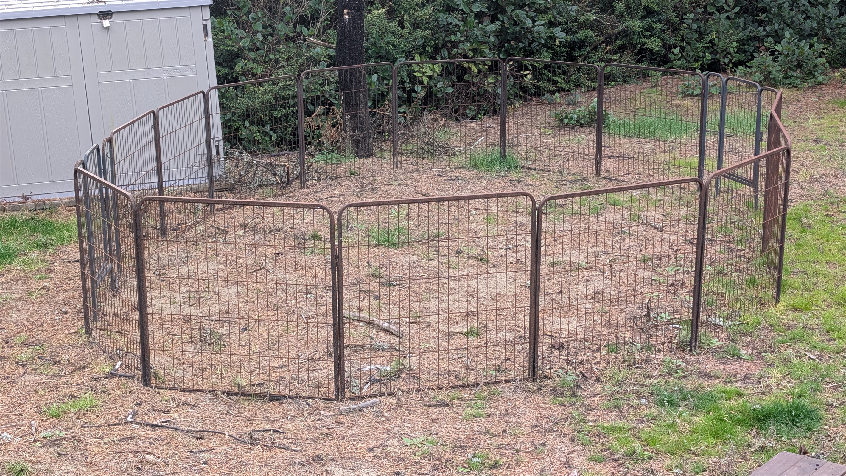 dog enclosure
