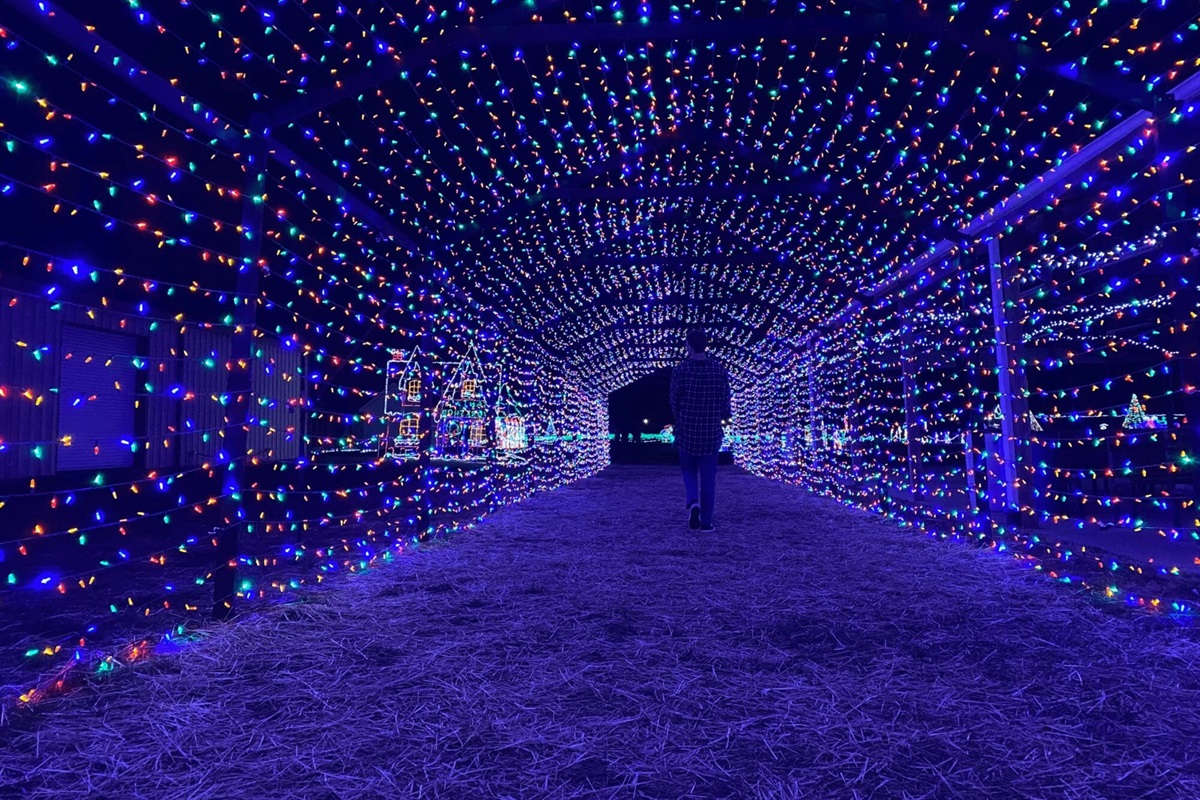 Christmas lights display at Downtown Ellijay
