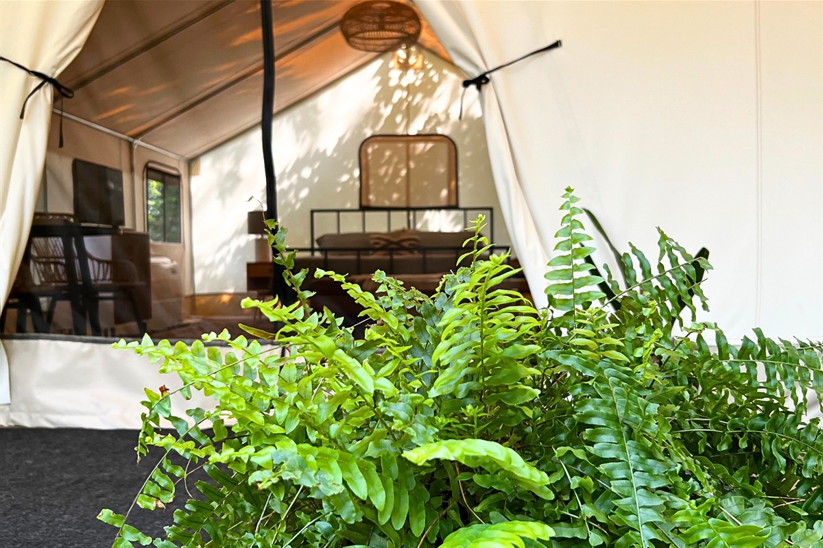 This experience was top notch for all of us." - Kayce