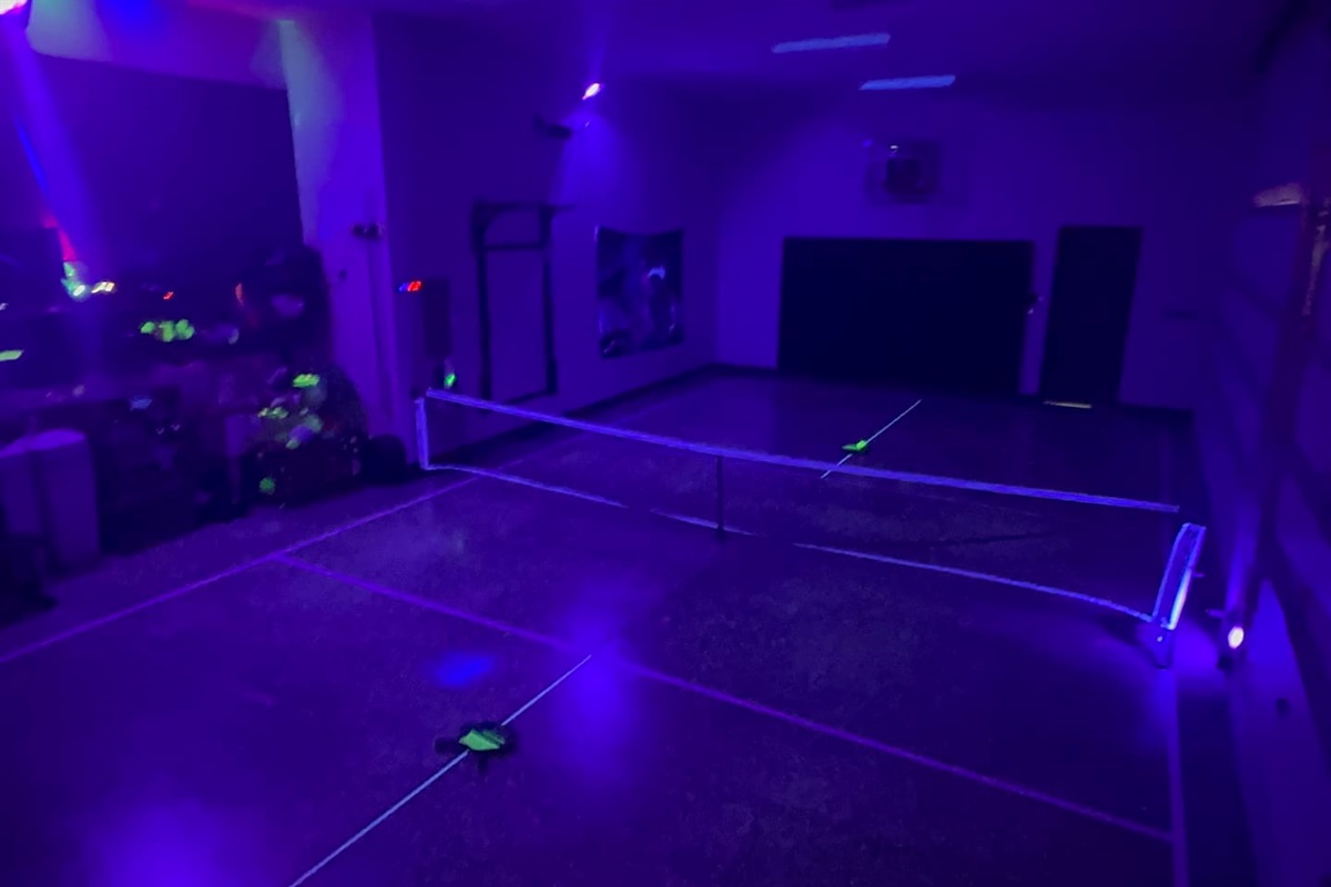 Pickleball court inside the garage with quick setup swiftnet pickleball net