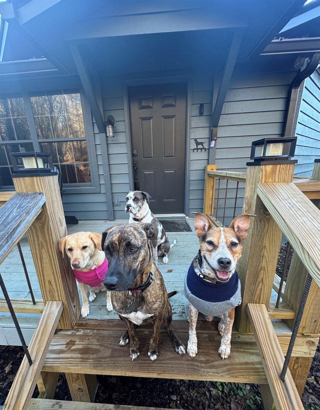 4 happy campers aka doggone good guests!