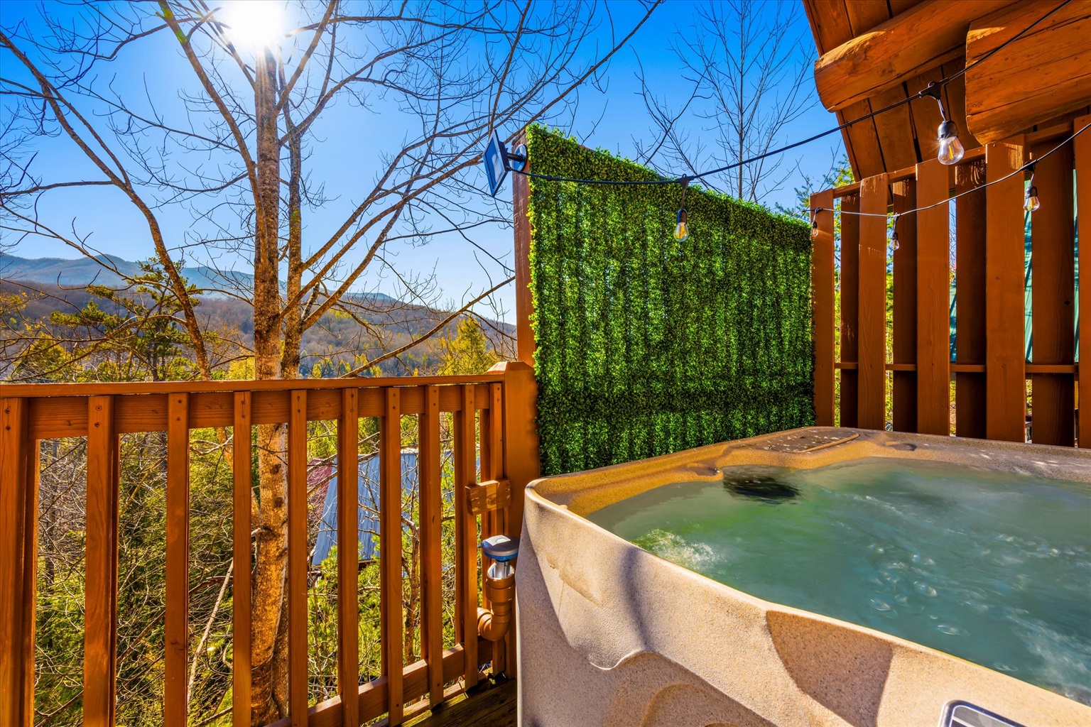 Soak in the hot tub and enjoy the views!
