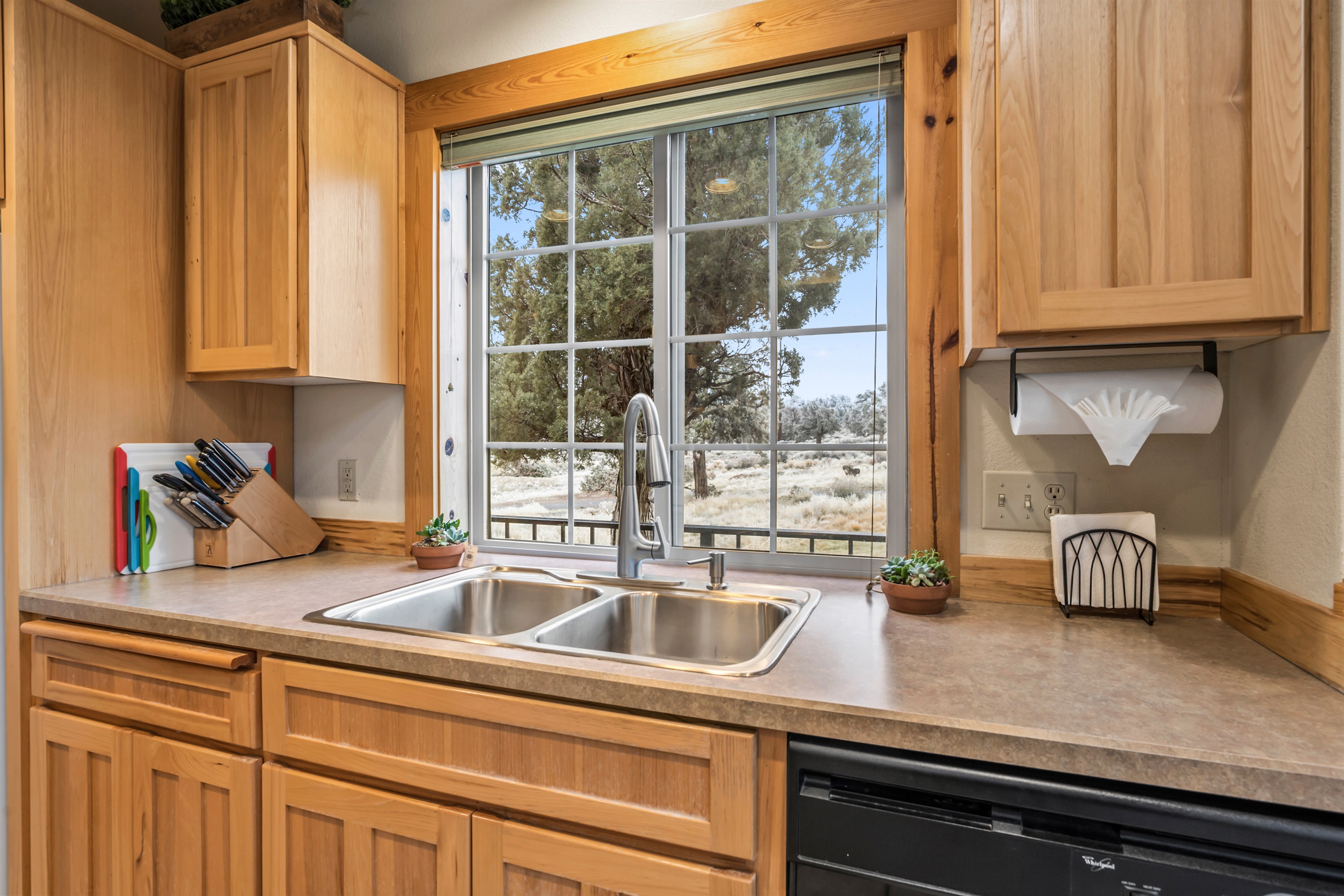 View from the kitchen