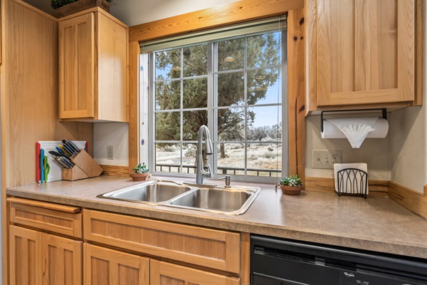 View from the kitchen