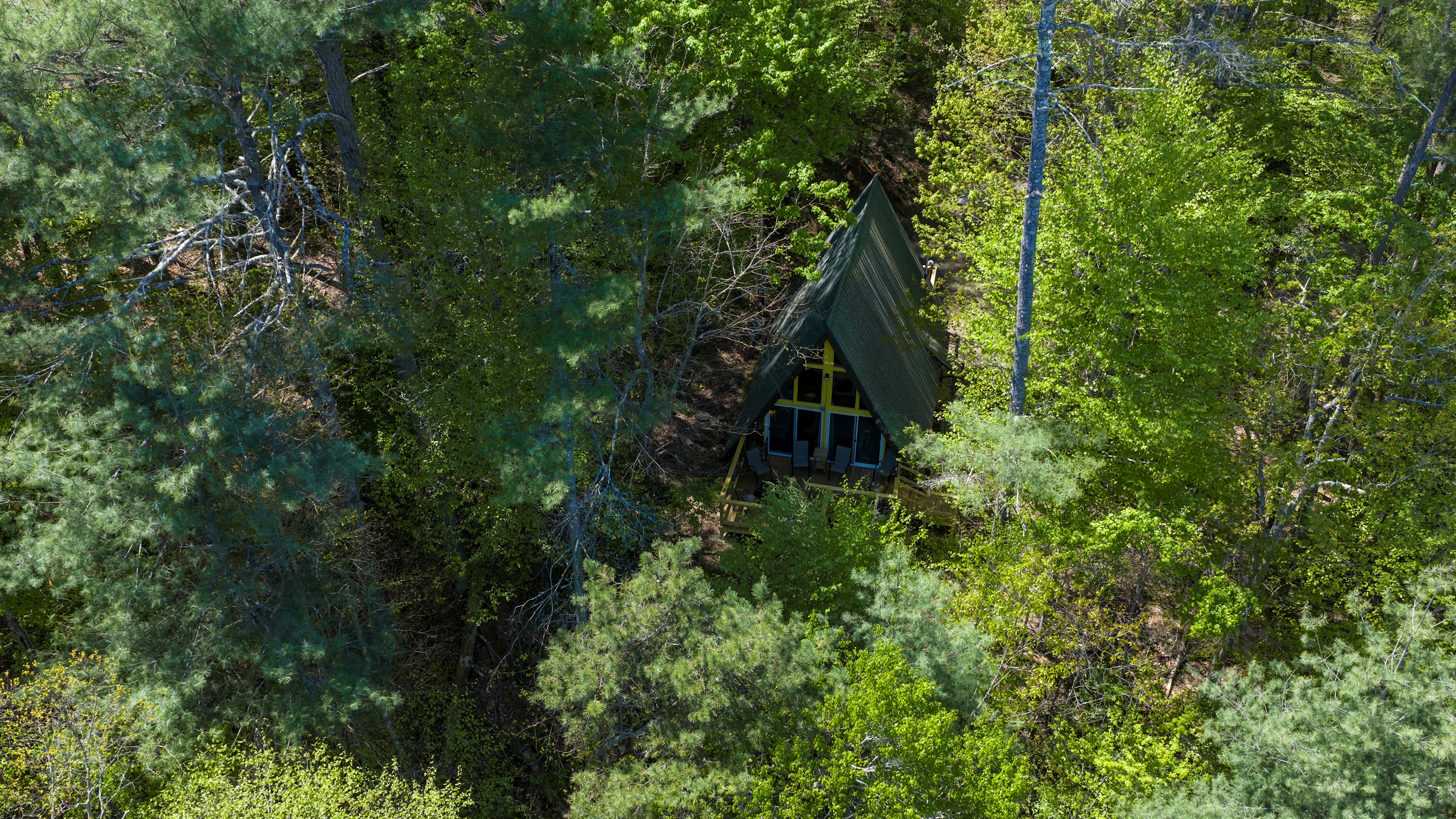 Tucked away among the trees, Laurel Cove offers a private, peaceful setting that feels worlds away.