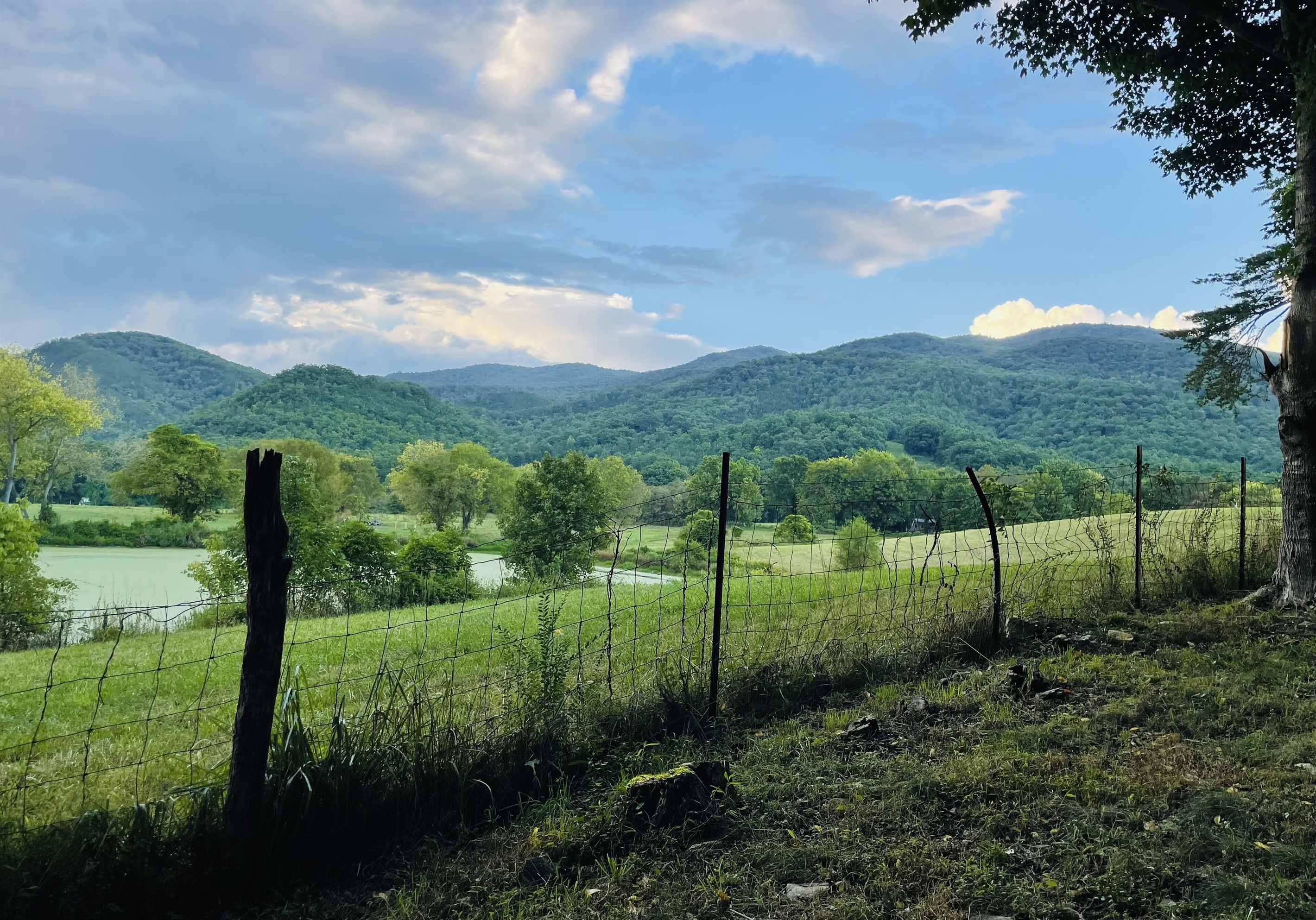 Mountain view from the fire pit