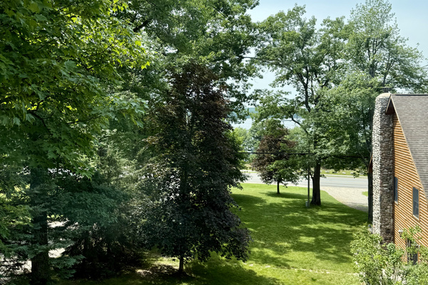 View of the lake in the summer
