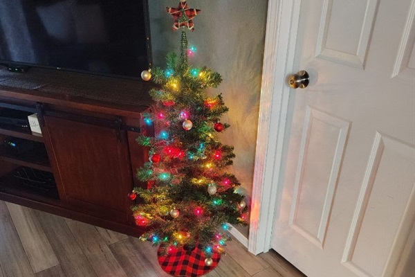 Sparkle and joy all around.