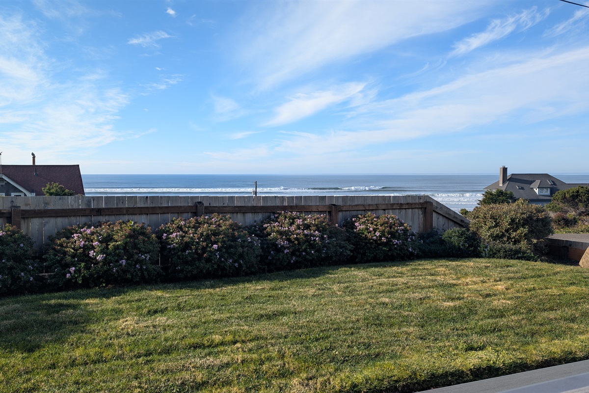 grassy area in front of deck just partially fenced
