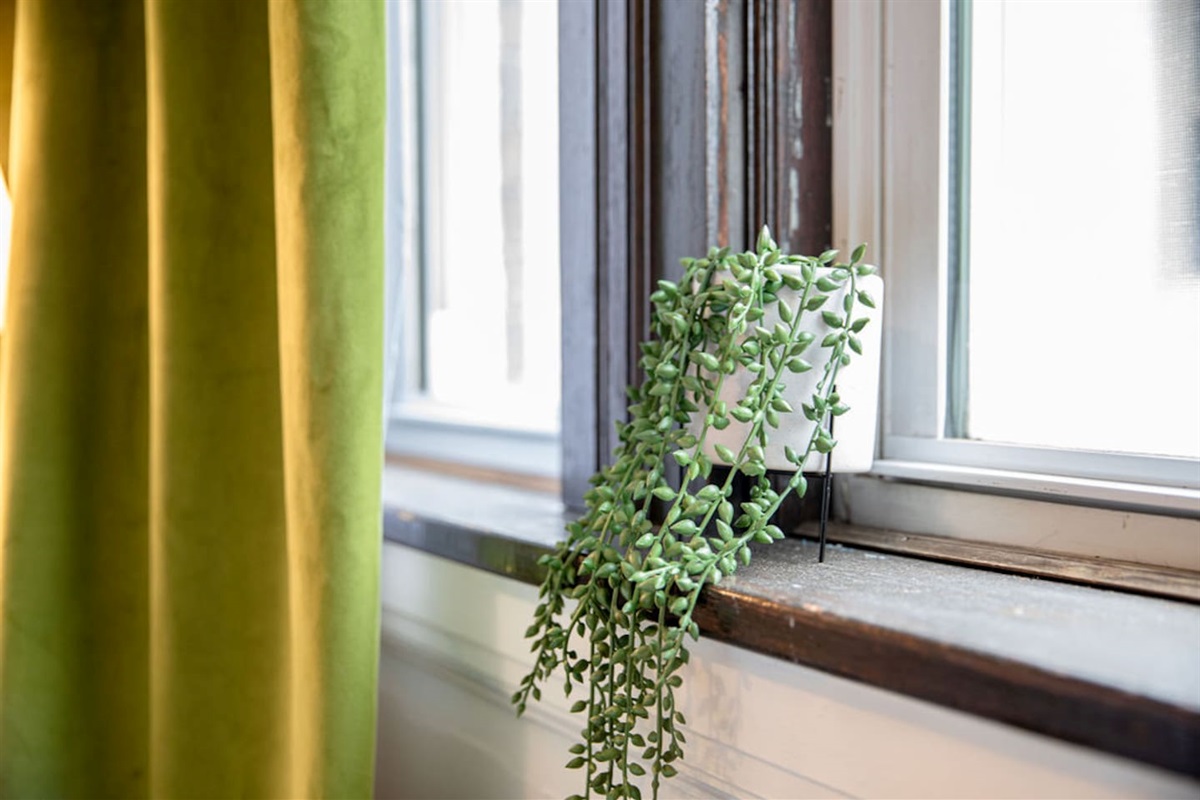 Window