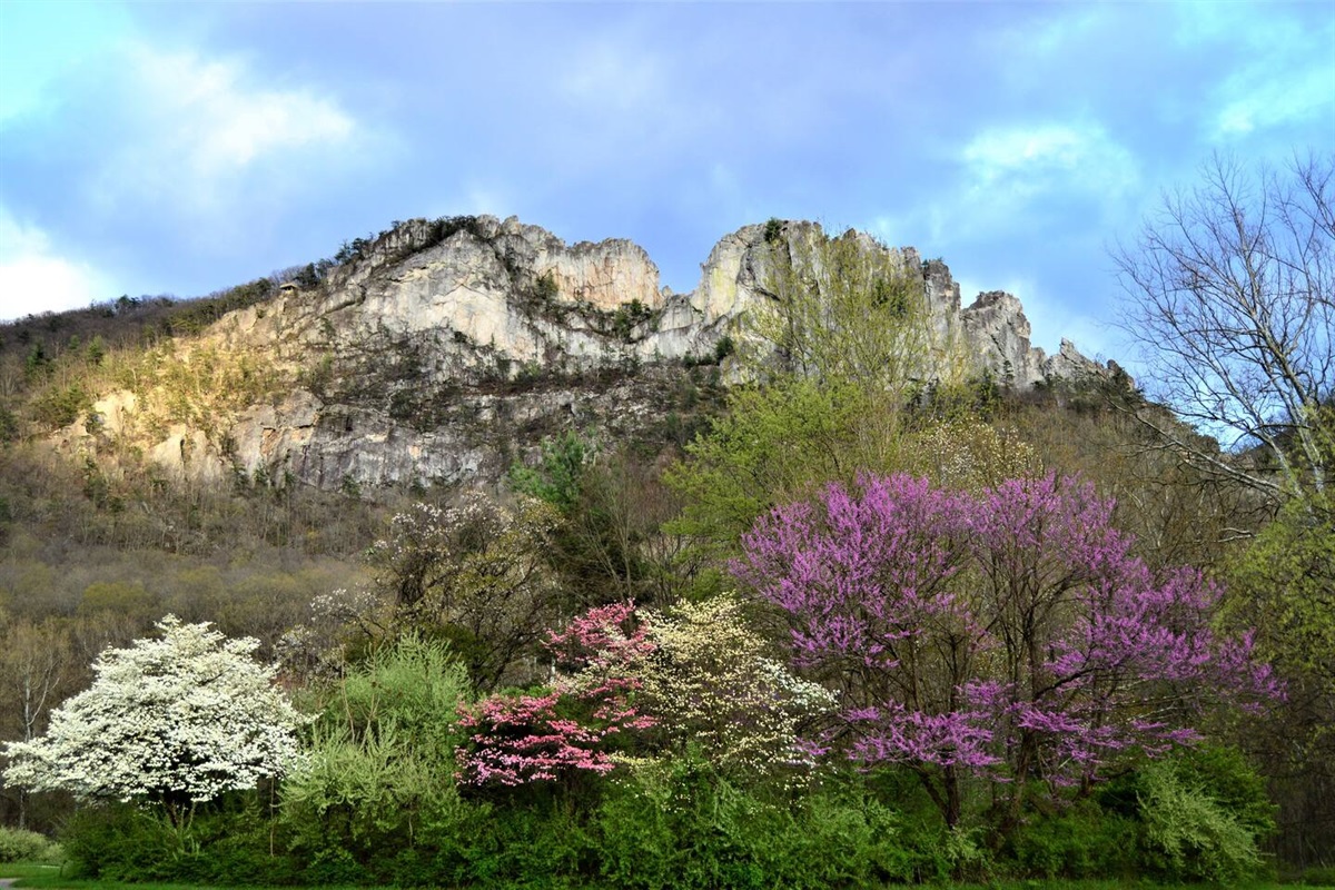 Seneca Rocks, a popular attraction that is only 4 miles from here. 