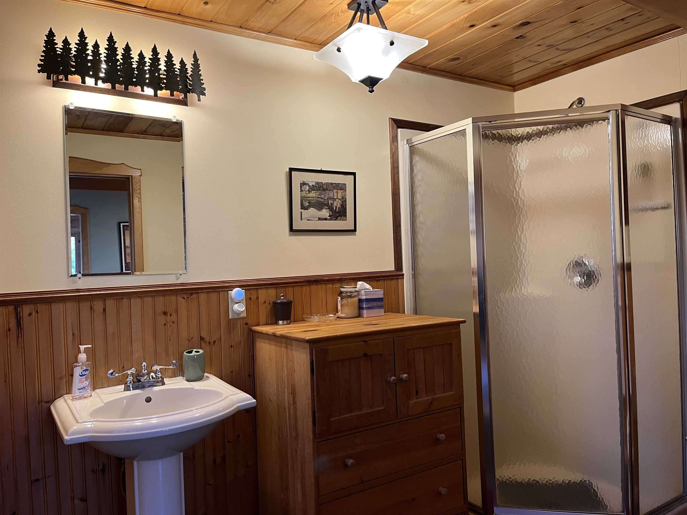 Ensuite bath in murphy bedroom