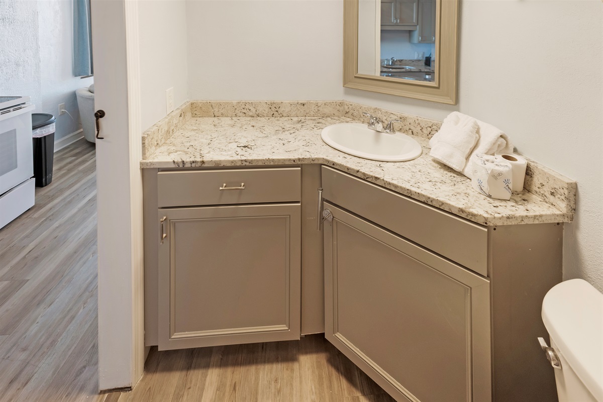 Amazing Private Bathroom