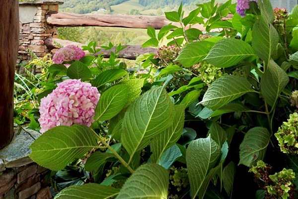 Up close and personal with nature's delicate beauty.