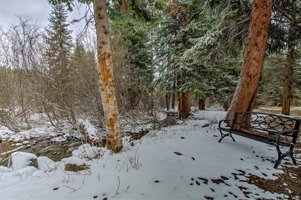 Step into your winter escape—snowy trees, a peaceful creek, and a quiet bench invite you to slow down and savor the calm, all just for you.