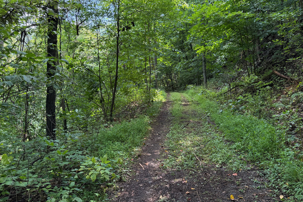 Numerous trails are on the 26 acre property, which you are free to use. We do have many wild animals to enjoy watching, but do take care and be safe. Read through the Guest Welcome Book about safety before you venture off.