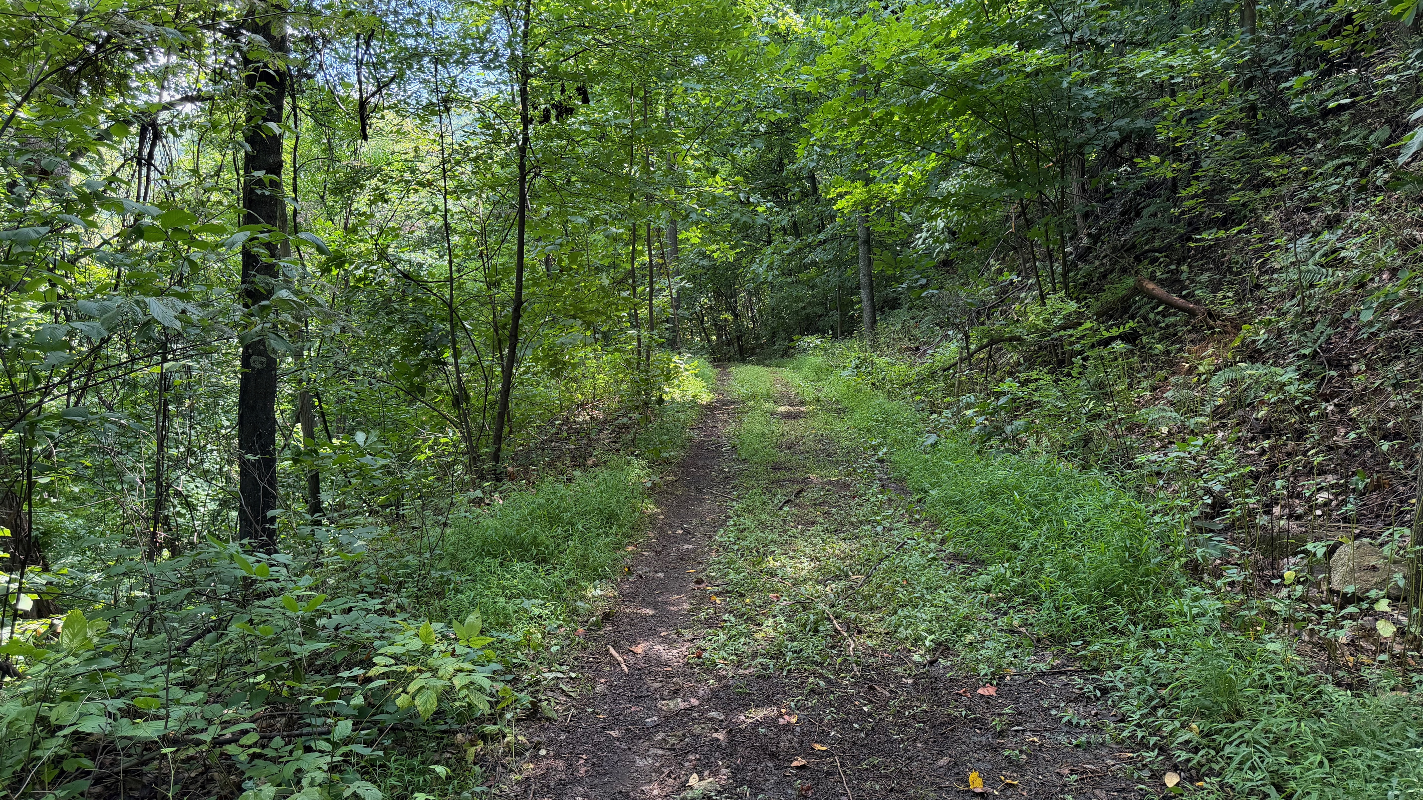Numerous trails are on the 26 acre property, which you are free to use. We do have many wild animals to enjoy watching, but do take care and be safe. Read through the Guest Welcome Book about safety before you venture off.