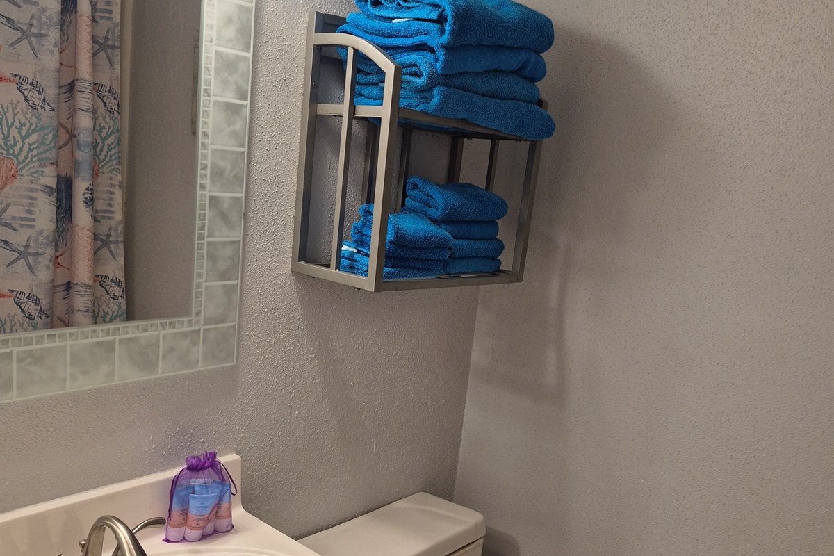 Bath, hand and wash cloths provided as well as starter shower/bath supplies on bathroom counter