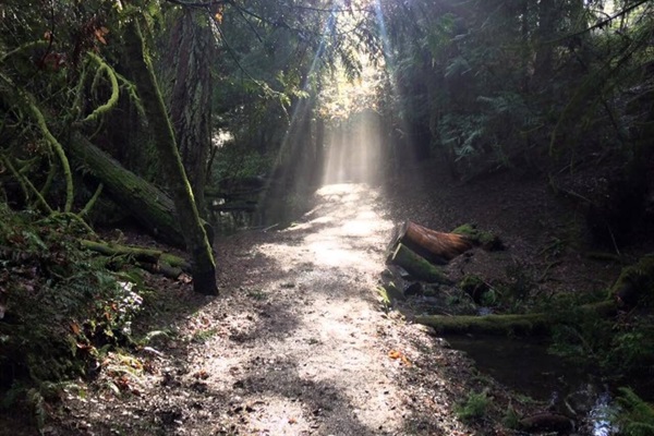 The trail directly below our property, my favourite place for a peaceful walk or run in nature