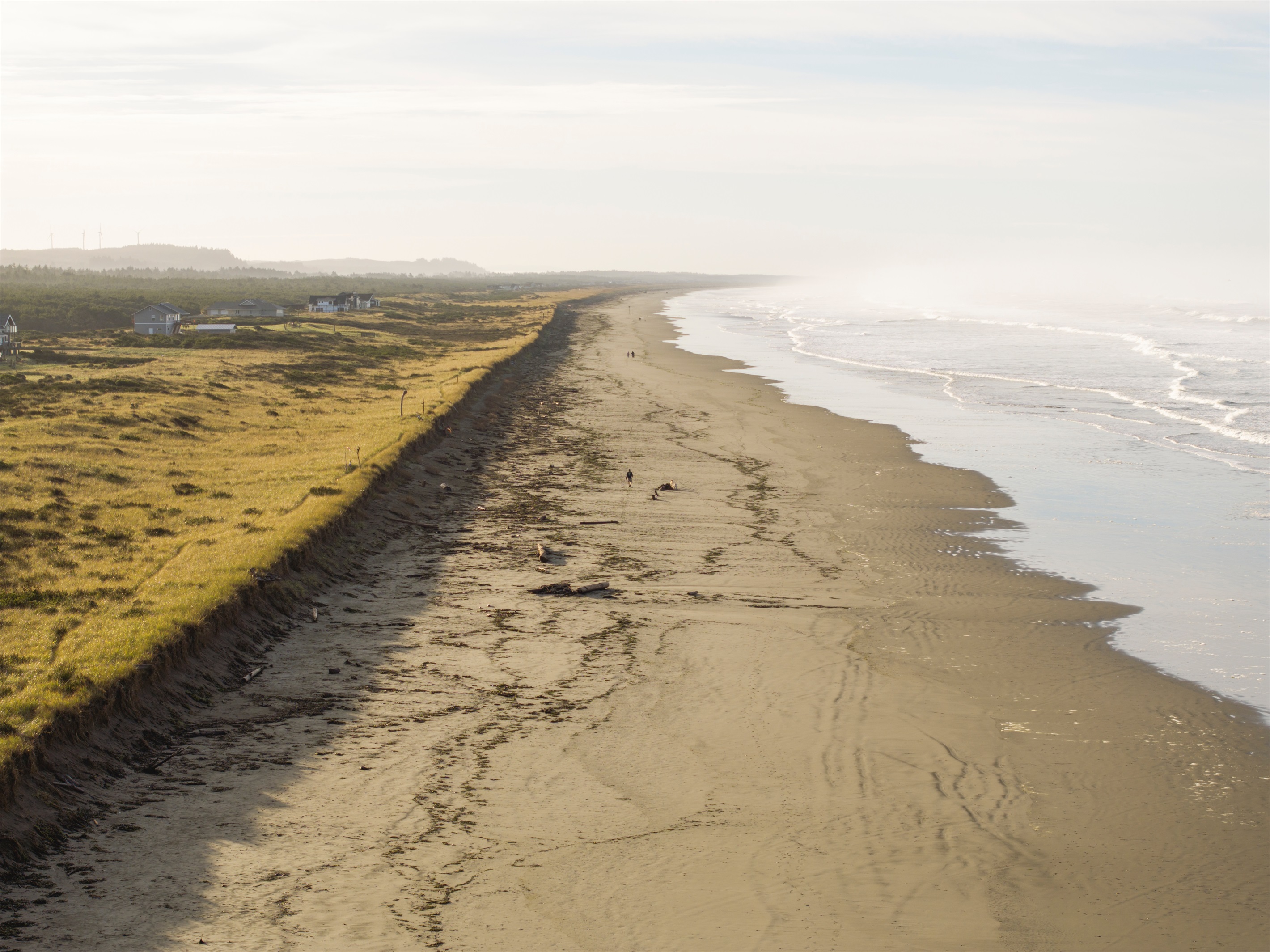 {Steps to Sand} Miles of untouched coastline just steps from your door—morning walks here feel like your own private stretch of the Pacific.