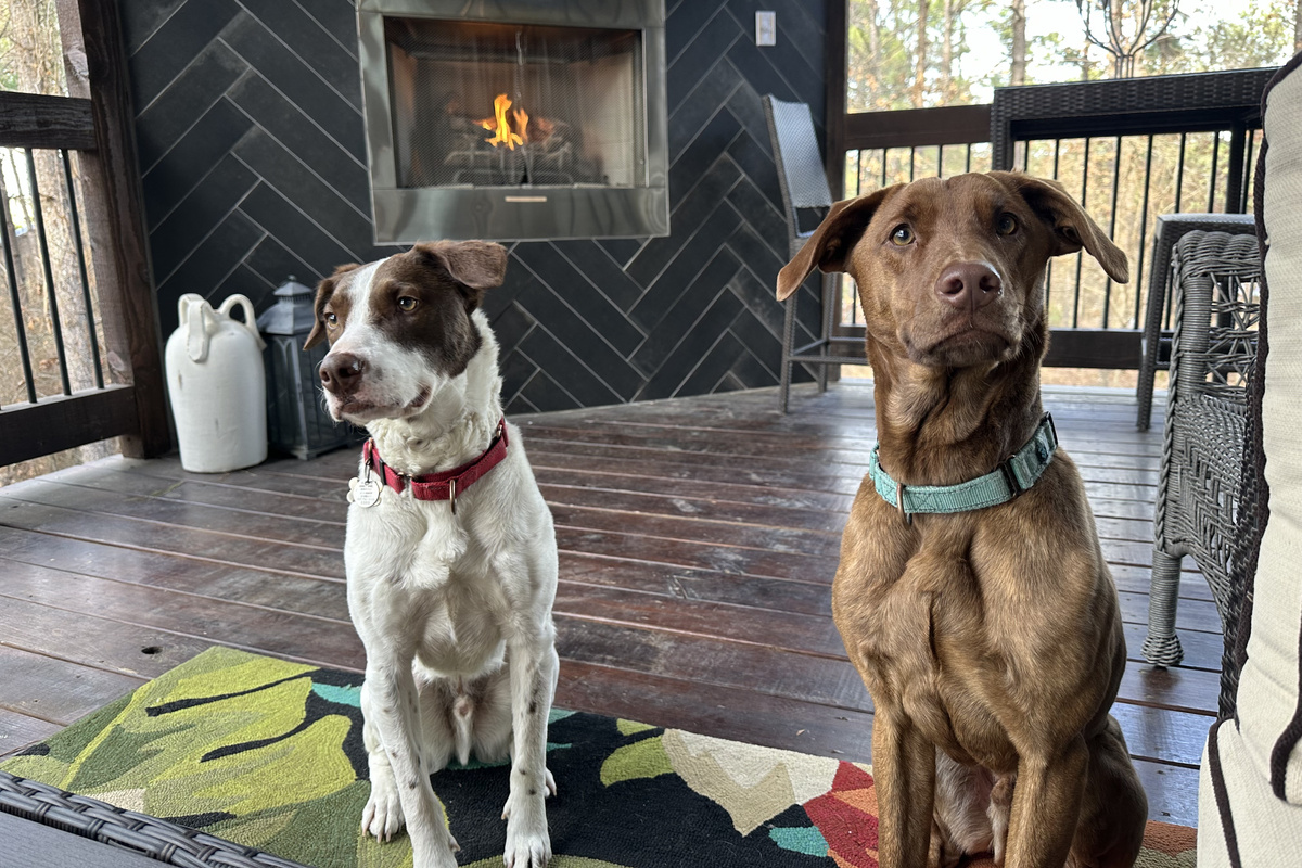 Our Pals Chopstick and Pretzel LOVE the First Kiss 3/4 wrap around patio with Dog Friendly gates that allow them to enjoy the afternoon with us next to the outdoor fireplace.