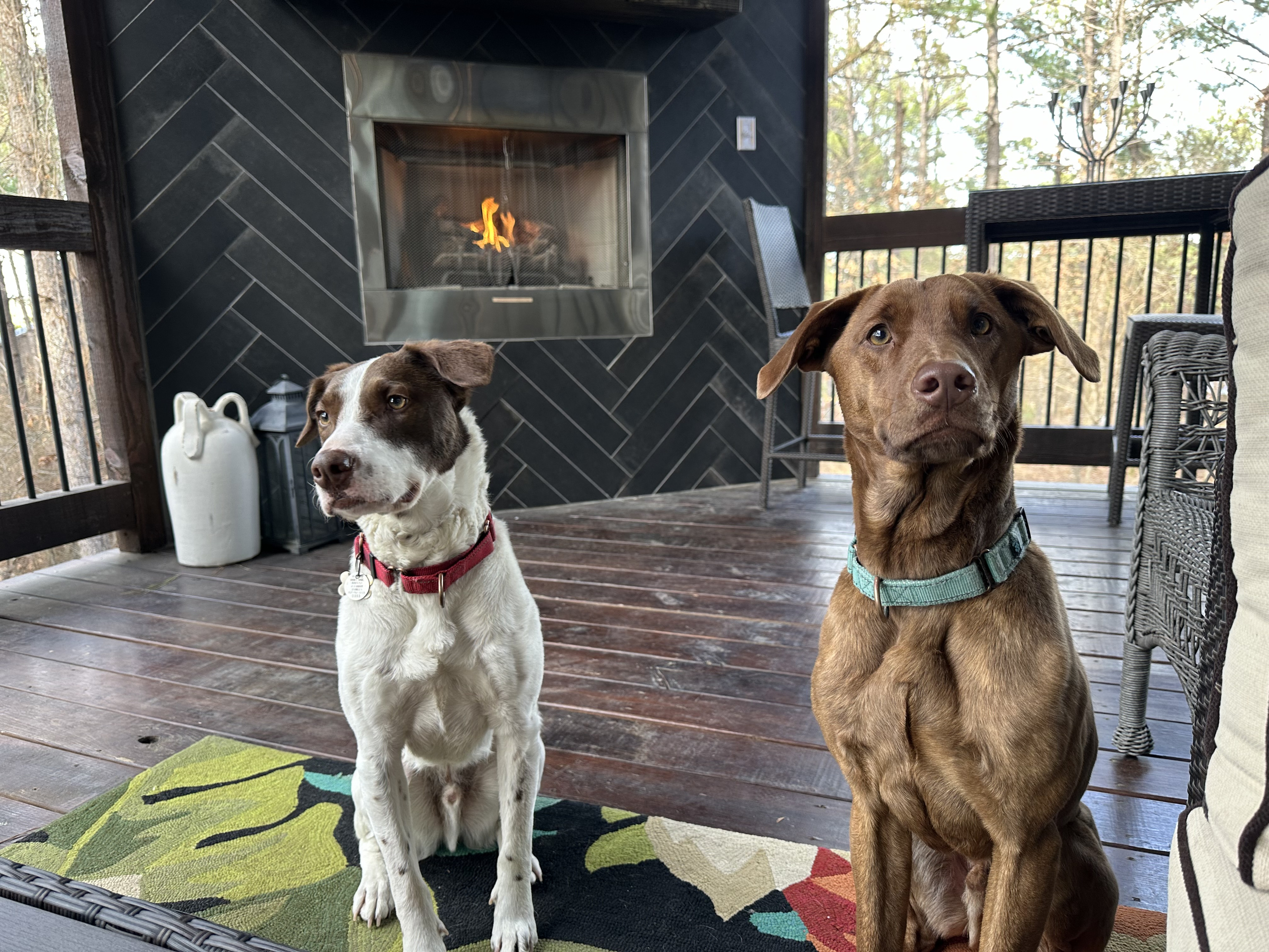Our Pals Chopstick and Pretzel LOVE the First Kiss 3/4 wrap around patio with Dog Friendly gates that allow them to enjoy the afternoon with us next to the outdoor fireplace.