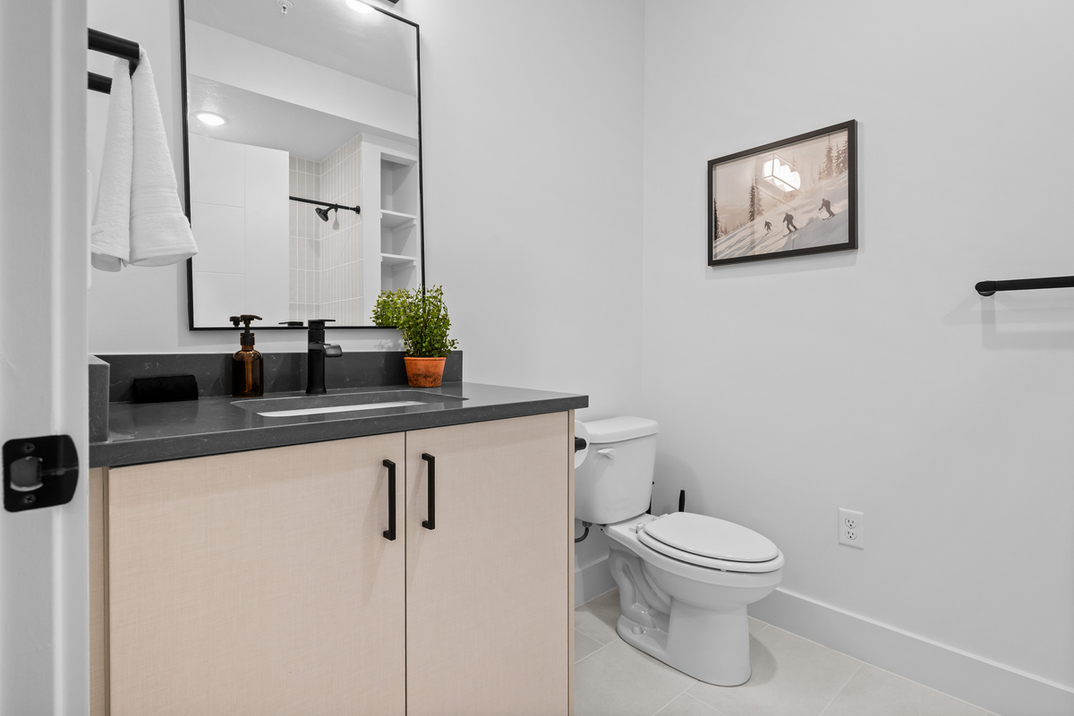 Spacious bathroom toilet and shower