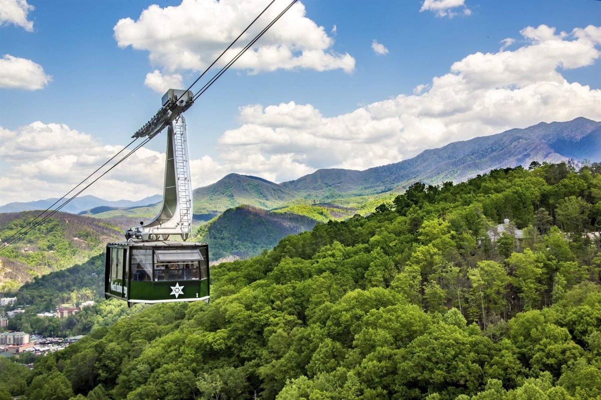 Or drive just 1.5 miles around the Mountain to Ober and enjoy the tram ride that drops you off right in downtown Gatlinburg. No traffic or parking in the city. 