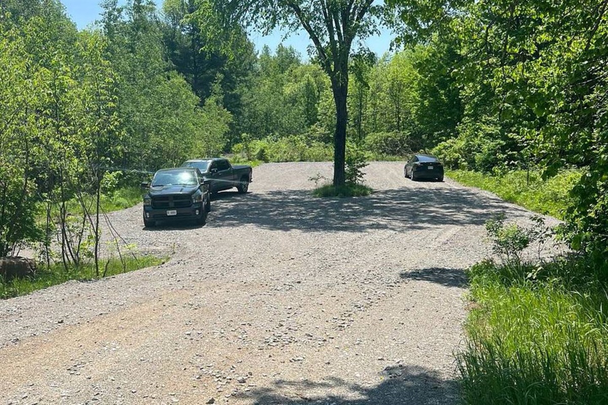 Long driveway that accommodates up to 50 cars