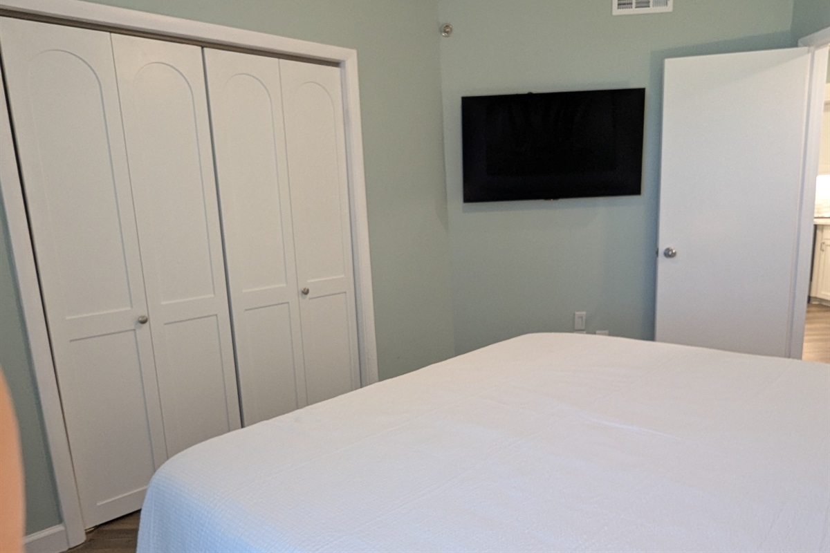 Closet and Wall Mount OLED TV